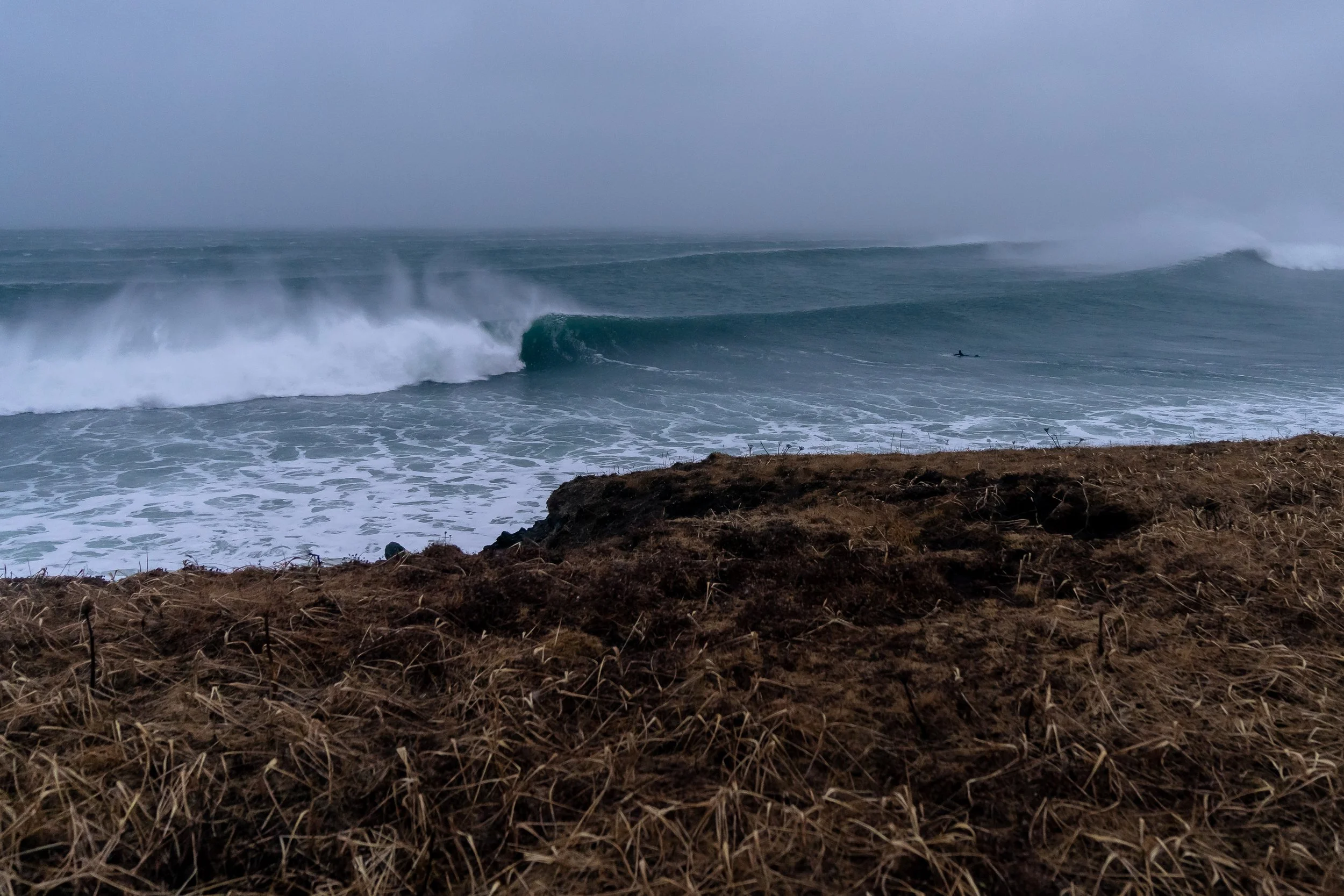 McInnis_120421_147443.jpg