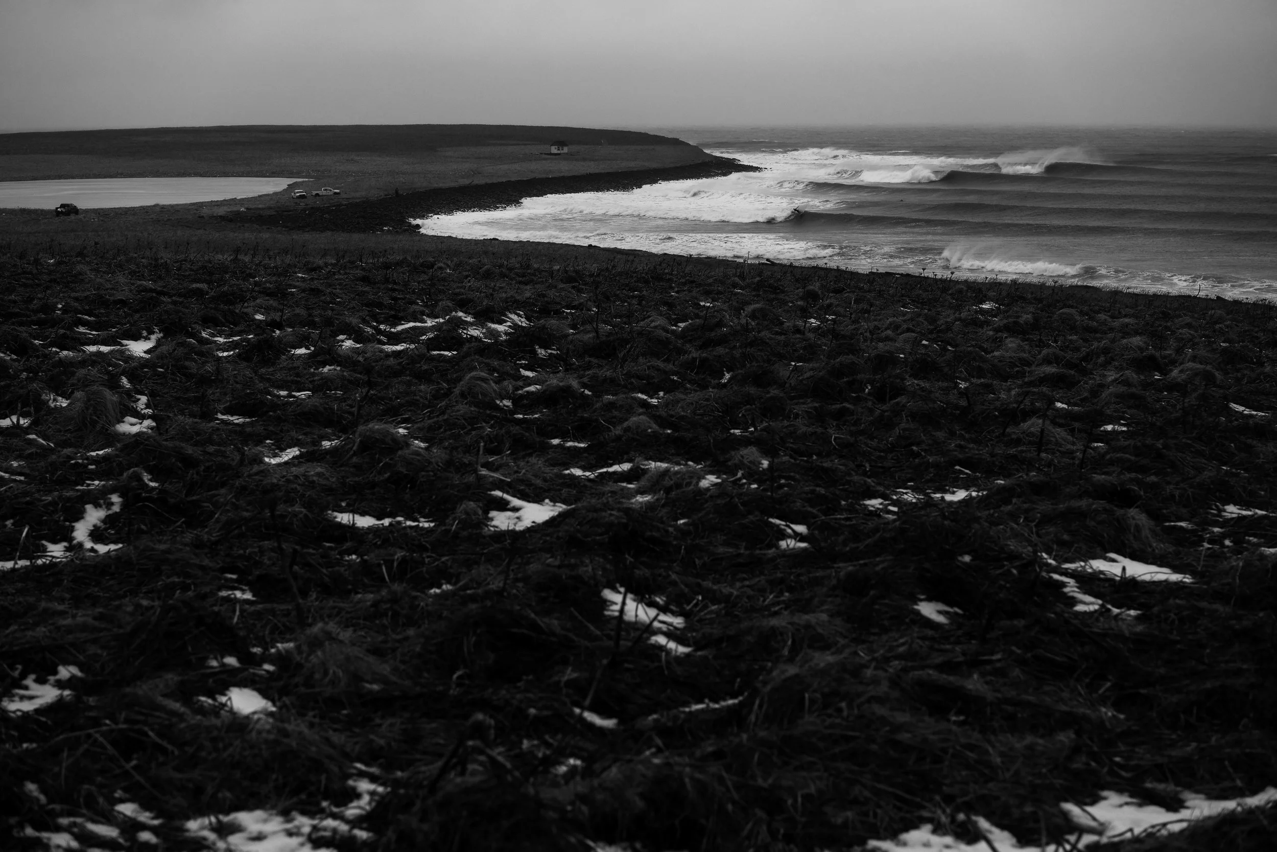 McInnis_120721_154050_BW.jpg