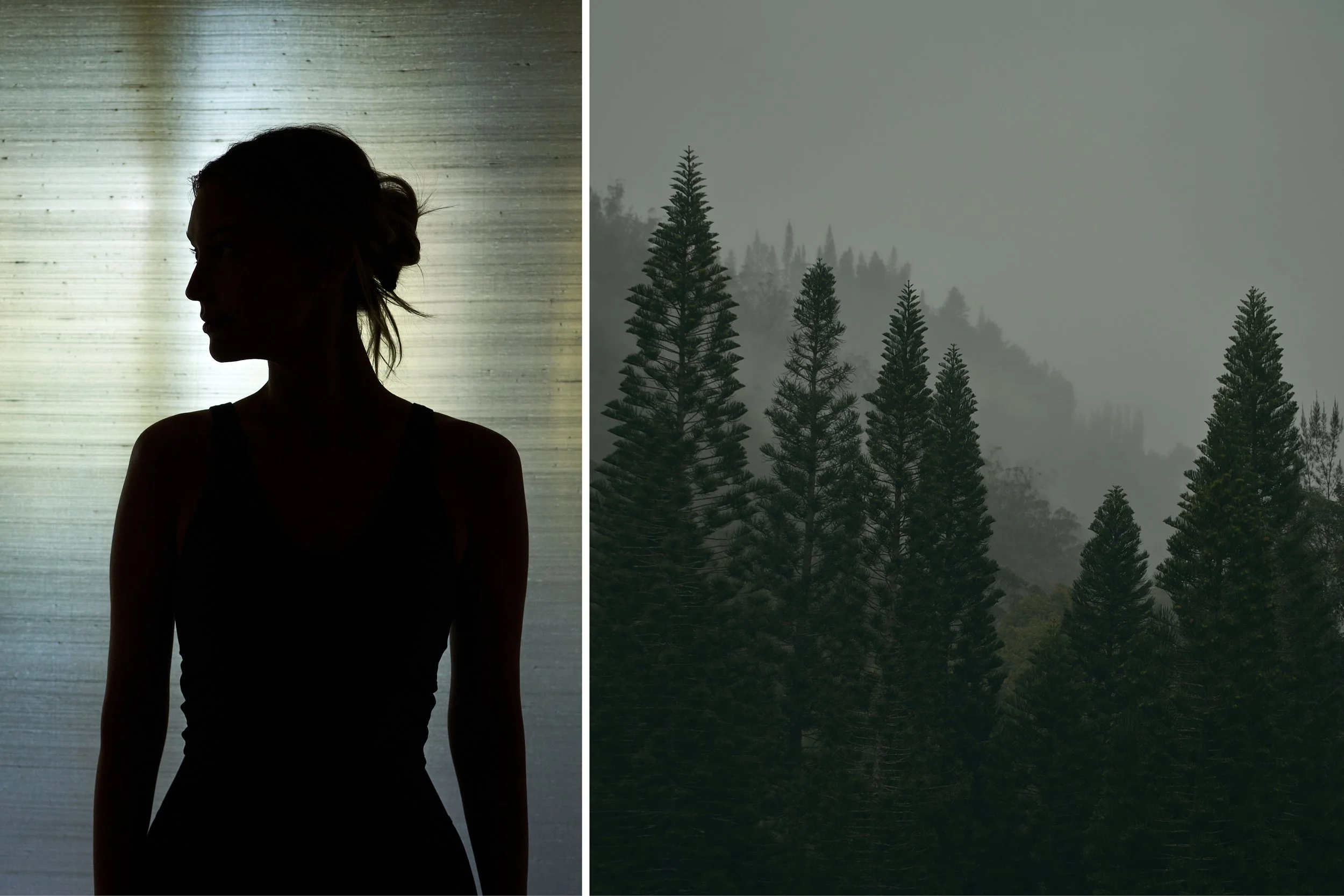 MARK_MCINNIS_DIPTYCH_TEMPLATE 2.jpg
