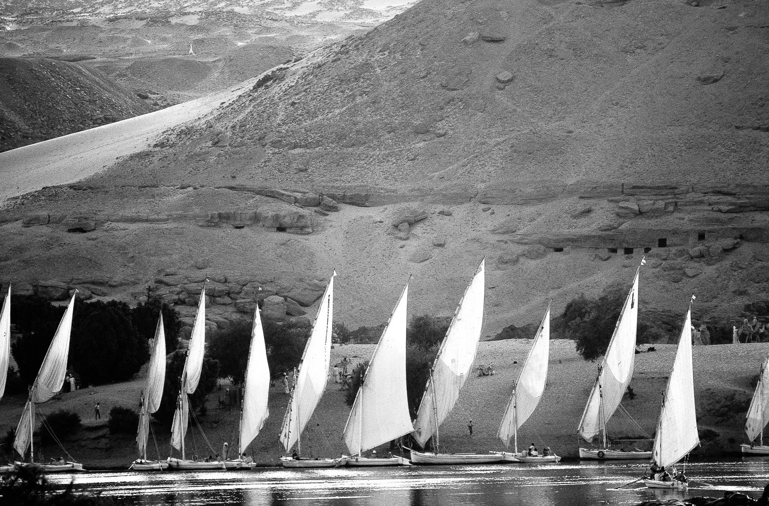 Feluccas on the Nile, 1981