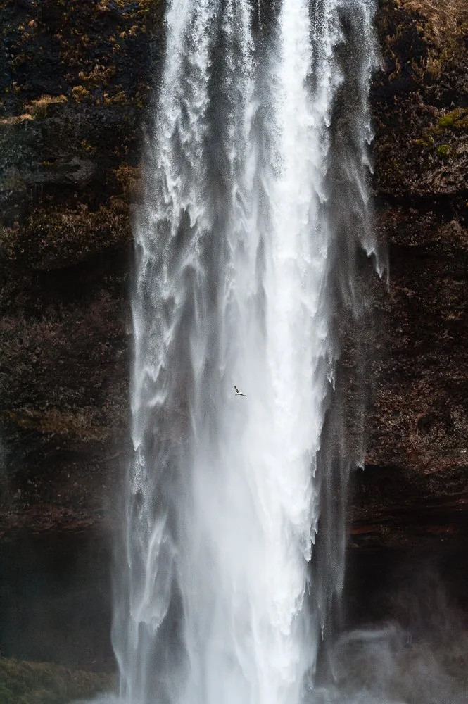 The 60m waterfall of Seljalandsfoss, 2018