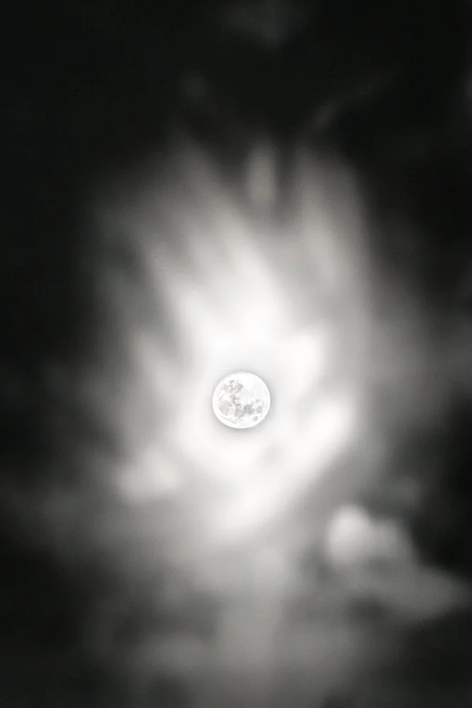 Reflected moon I, 2025