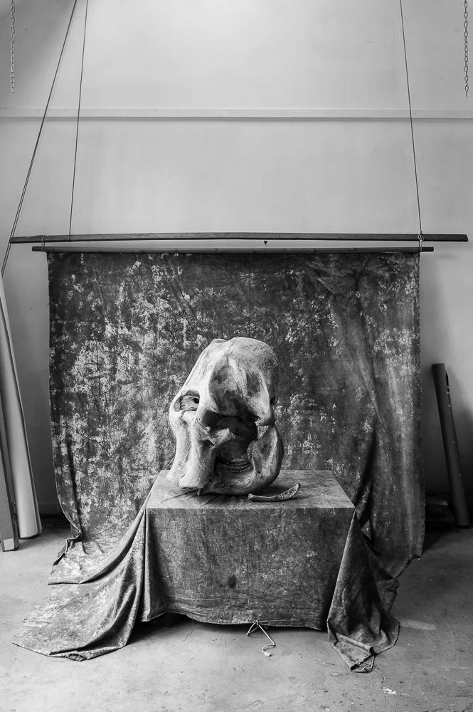  The Elephant in the Room, 2014 