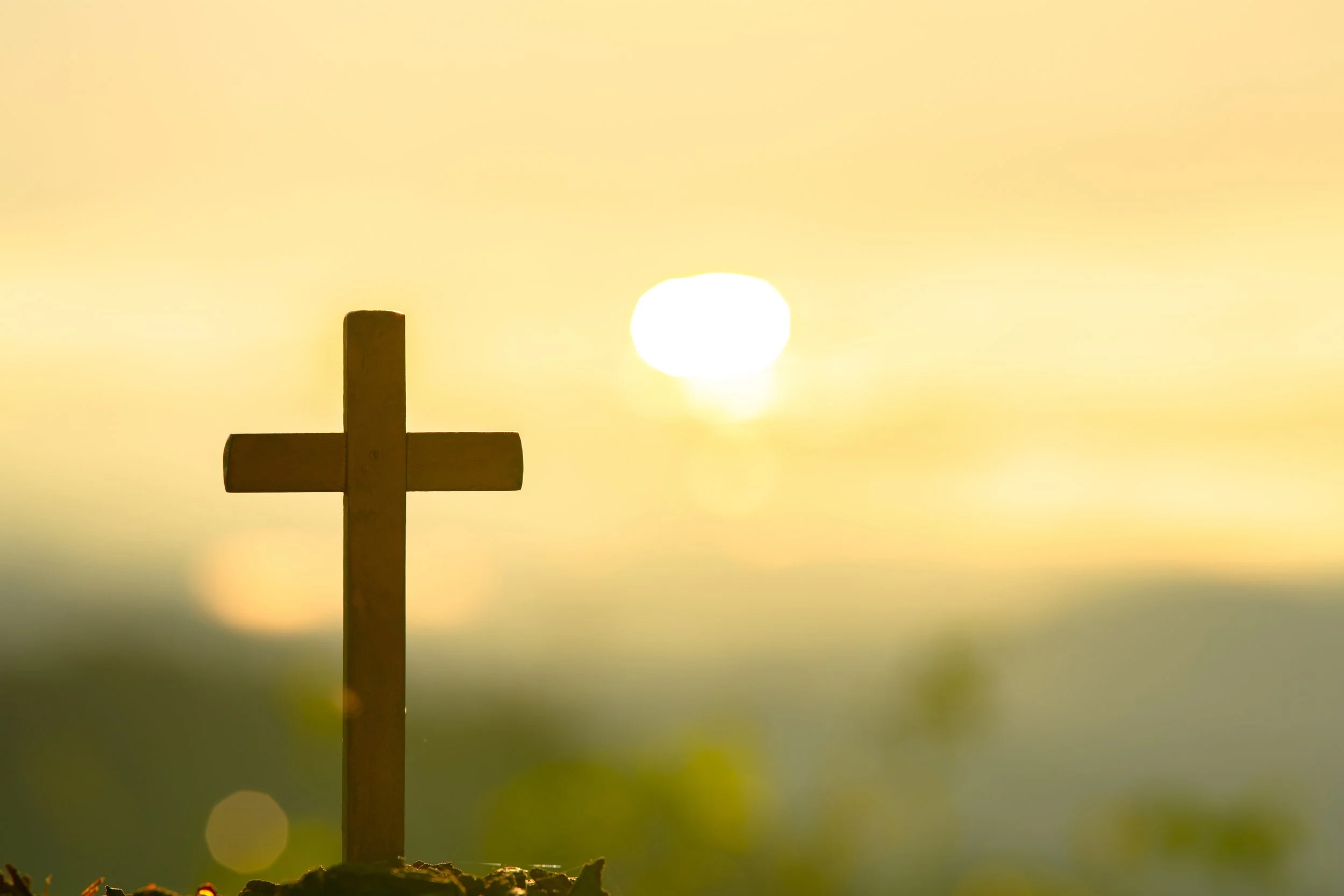 Adult Formation.jpeg