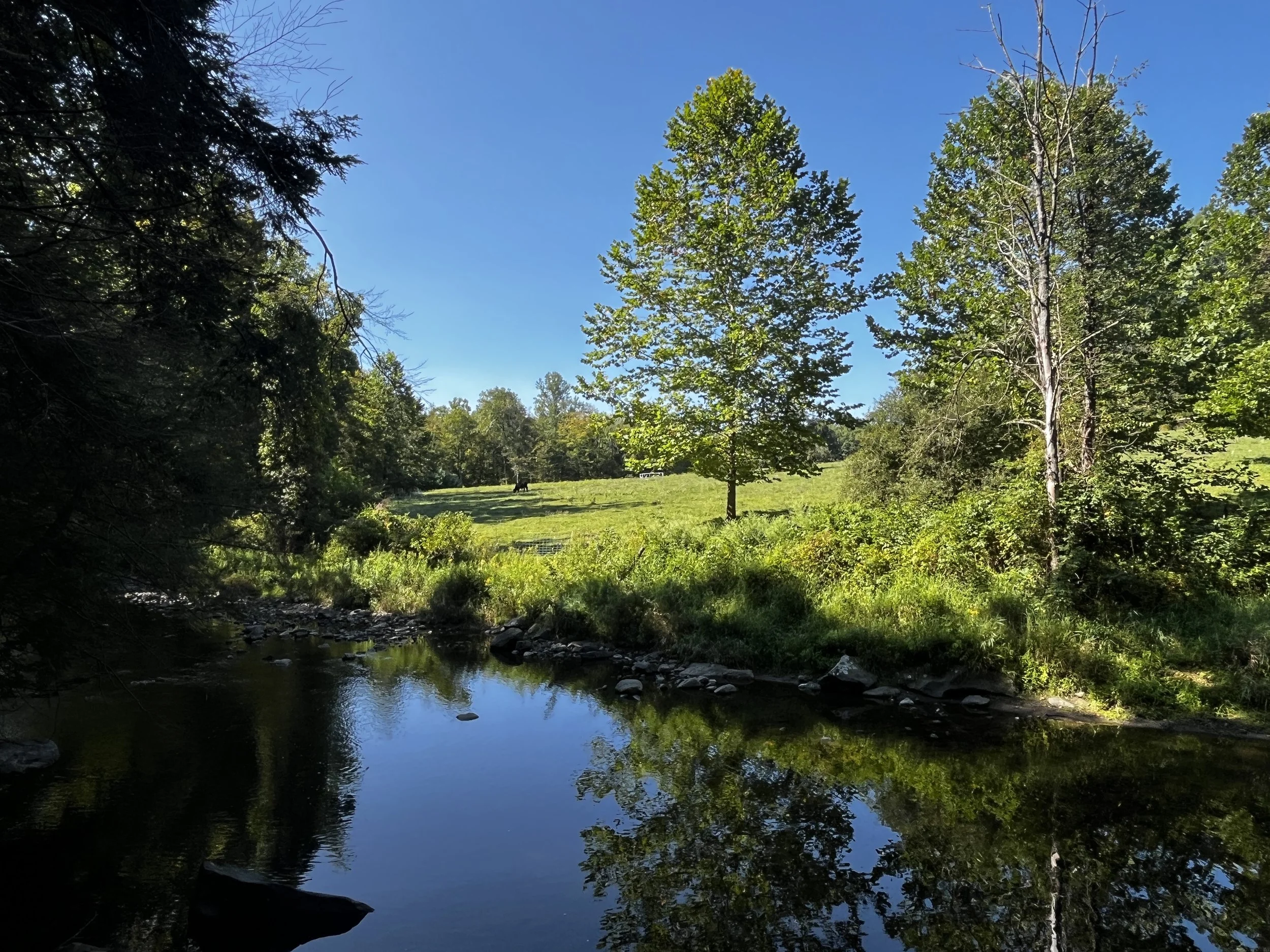 Fall Plein Air Rendezvous at Moonbeams Preserve