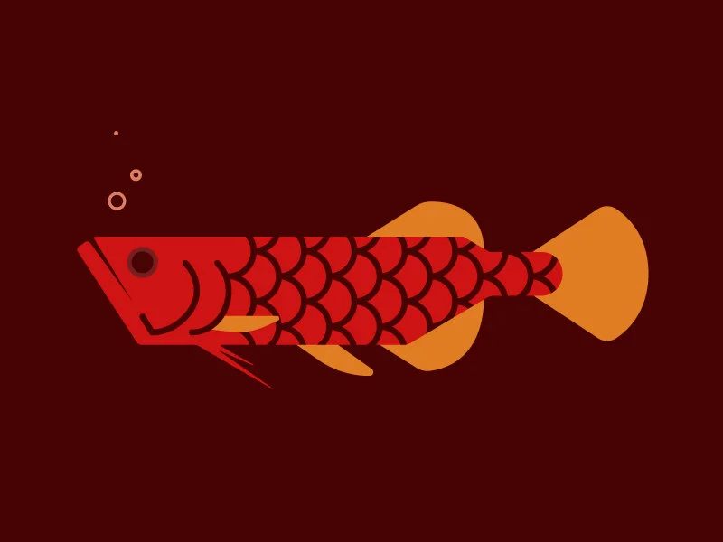 arowana.jpg