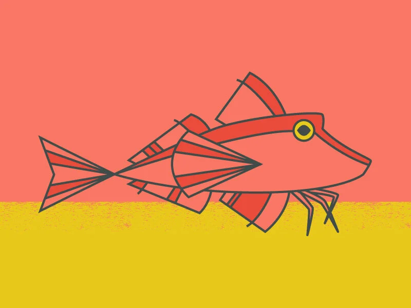 redgurnard.jpg