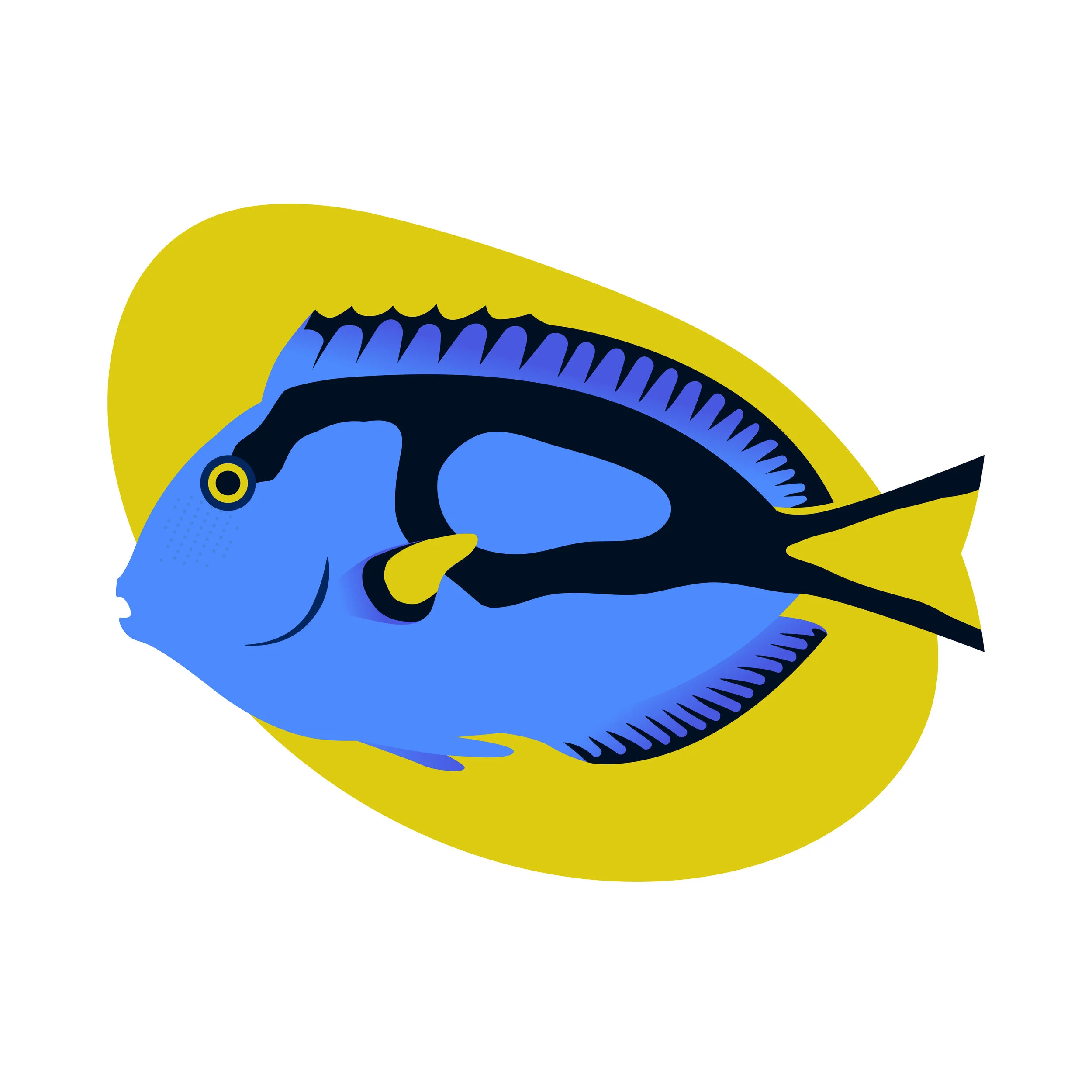 BlueTang-01.jpg