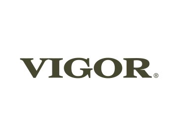 Homepage_Logos_Vigor.jpg