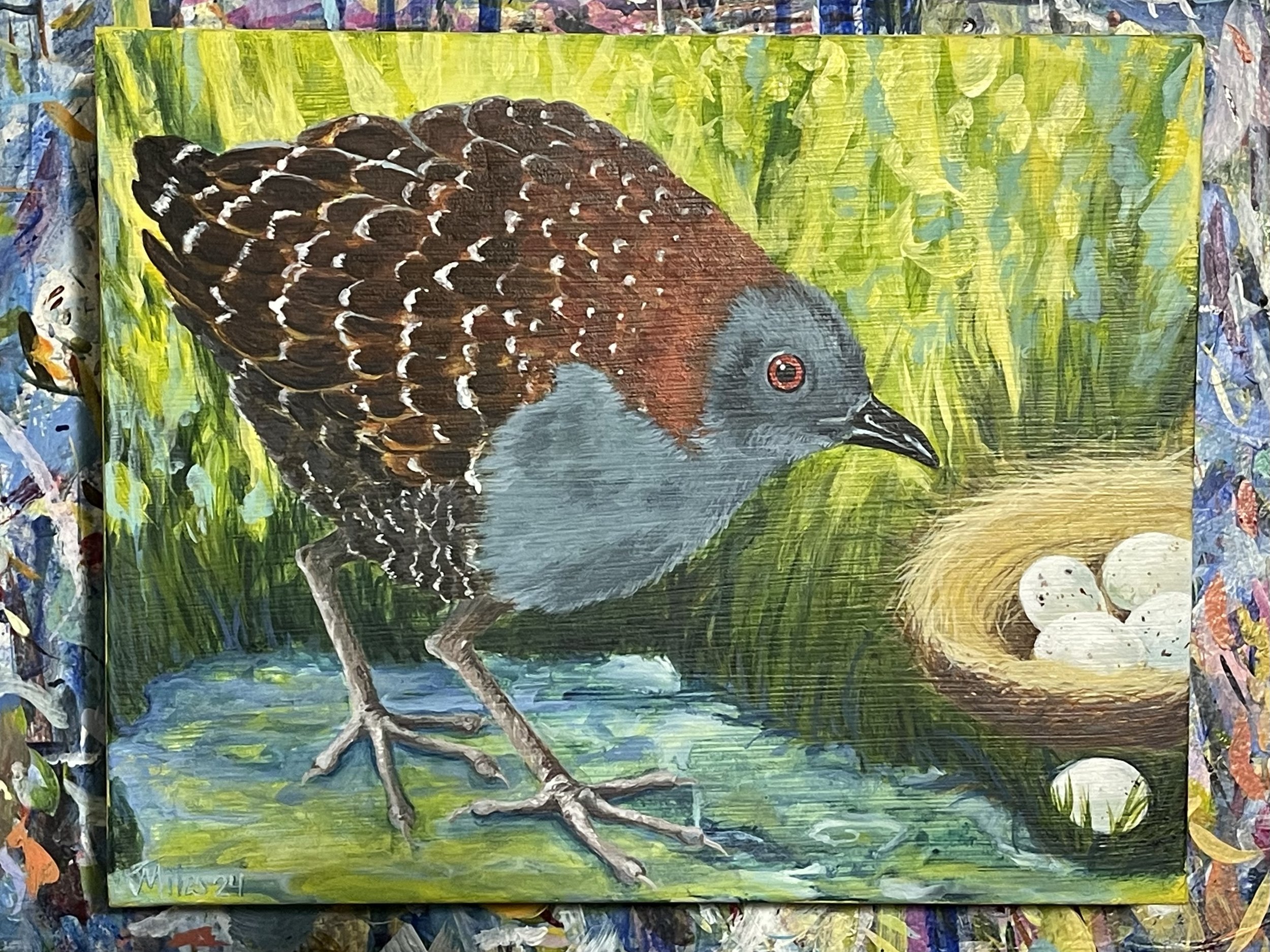 Black Rail 8x10