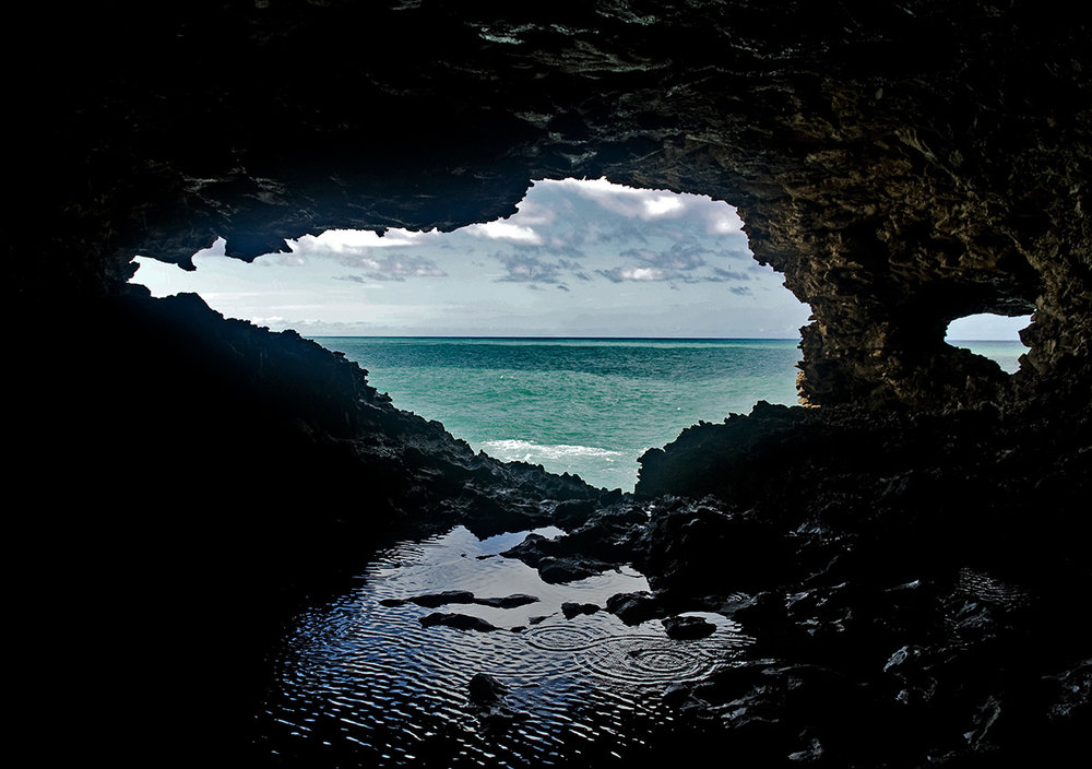 The Animal Flower Cave 