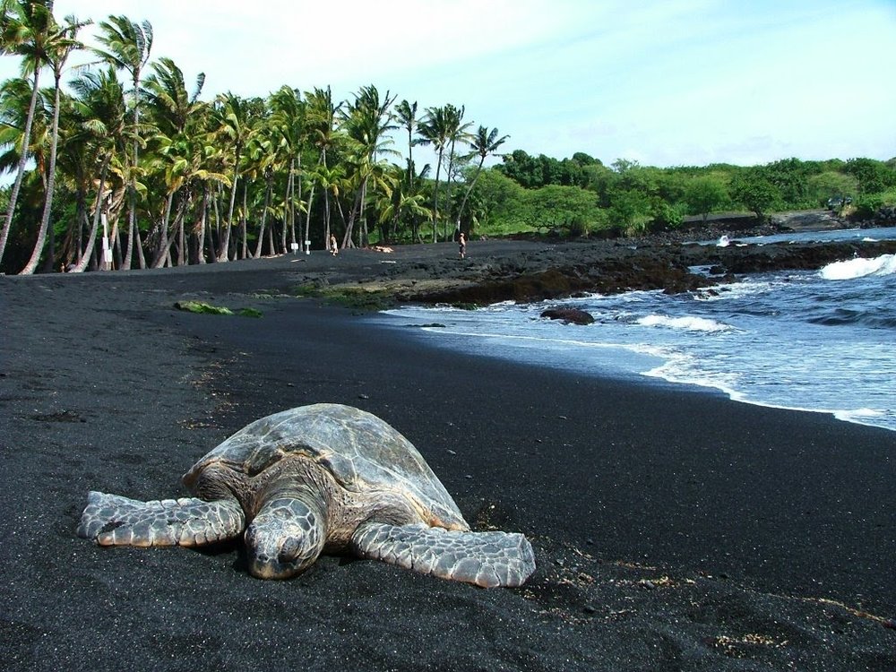 Black Sand Beaches