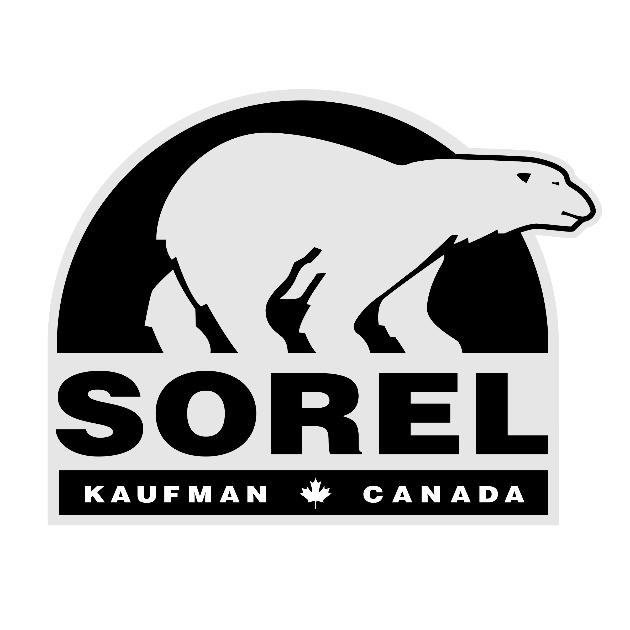 sorel-1-logo-png-transparent.png
