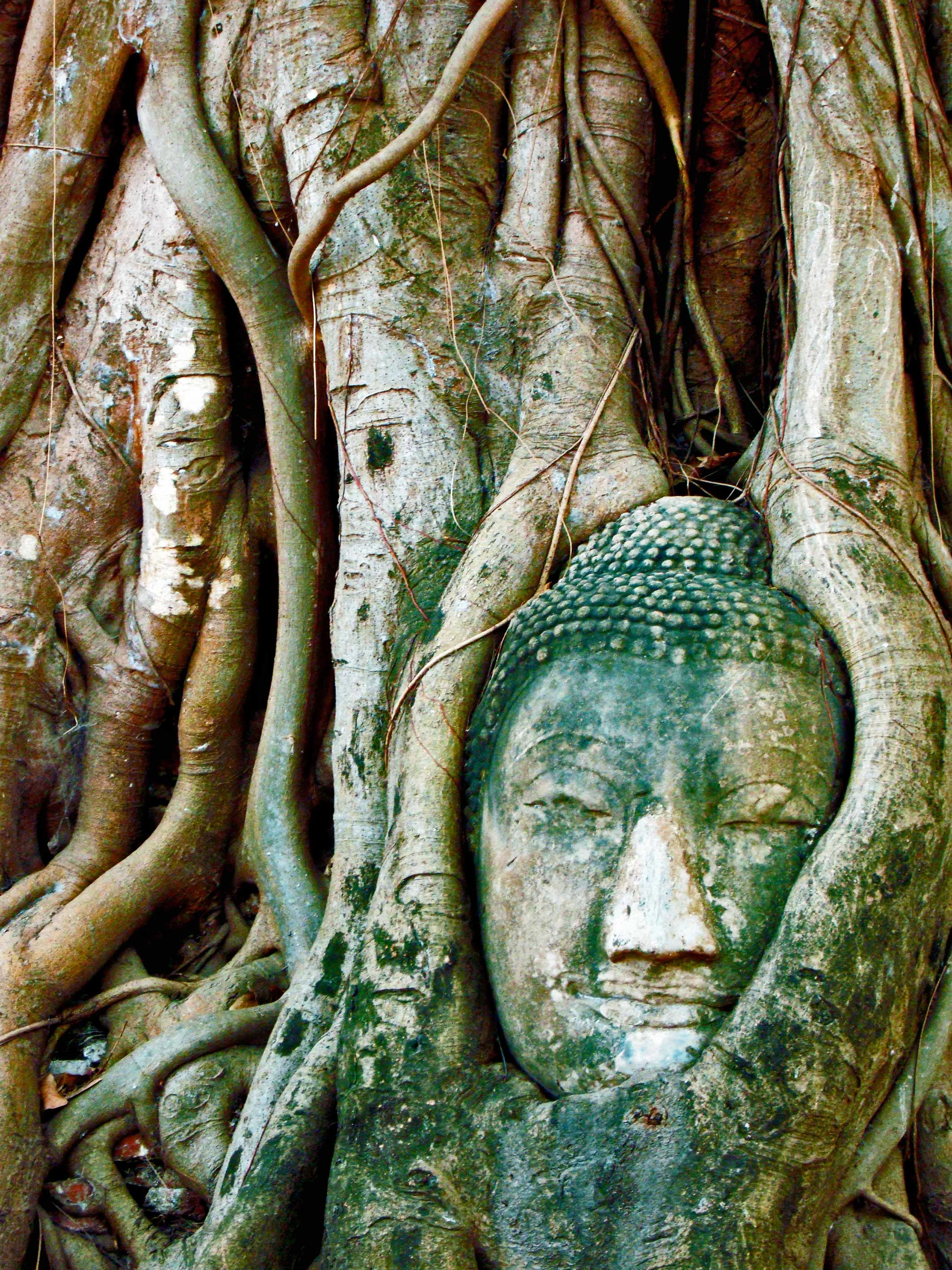 TAILANDIA_RR.jpg