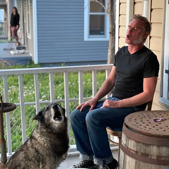 Every night at 7:58pm Mountain Standard Time, &lsquo;Hungry like the Wolf&rsquo; by Duran Duran is the alarm that tells us that we are T-minus 2 minutes from our nightly 8pm Howl from the front porch. 
We howl to show our solidarity with our communit