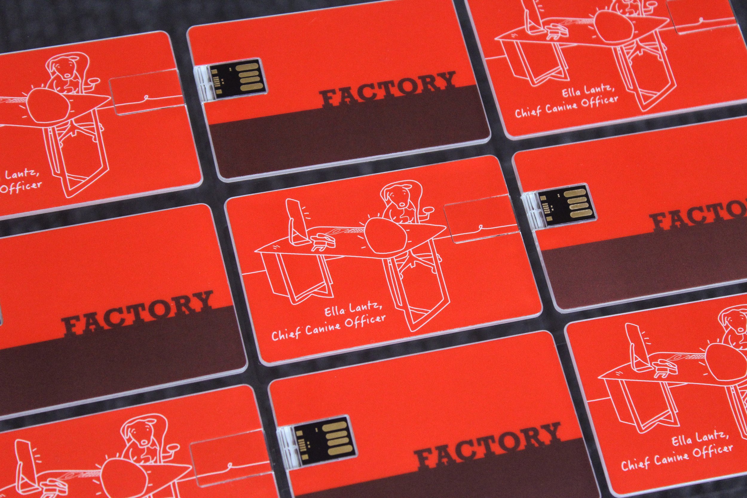 FDI_USB2-1.jpg