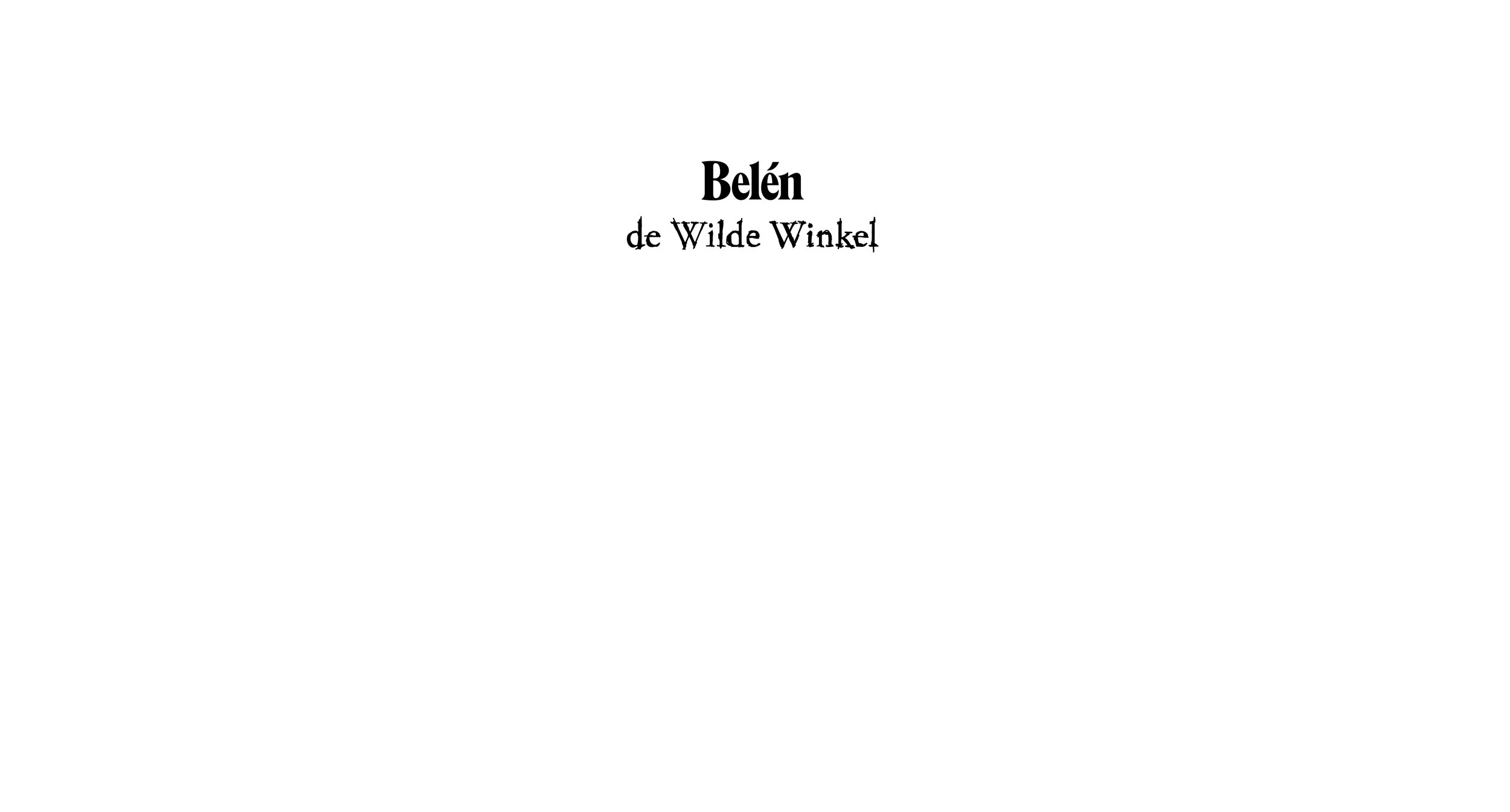 Belen_DeWildeWinkel_banner1-11-11.jpg