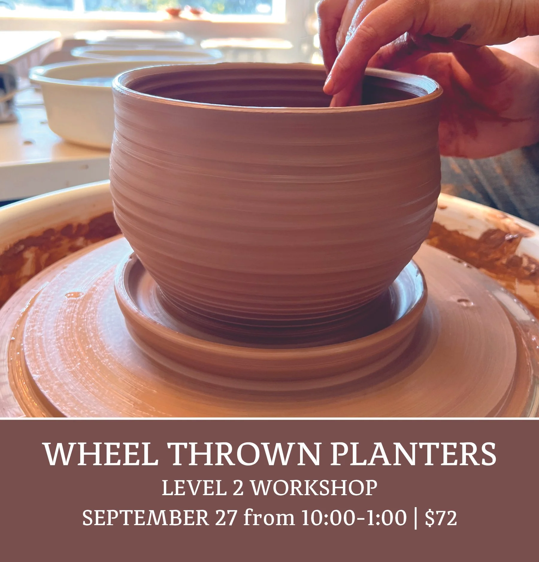 P2-PLANTERS-sept27.jpg