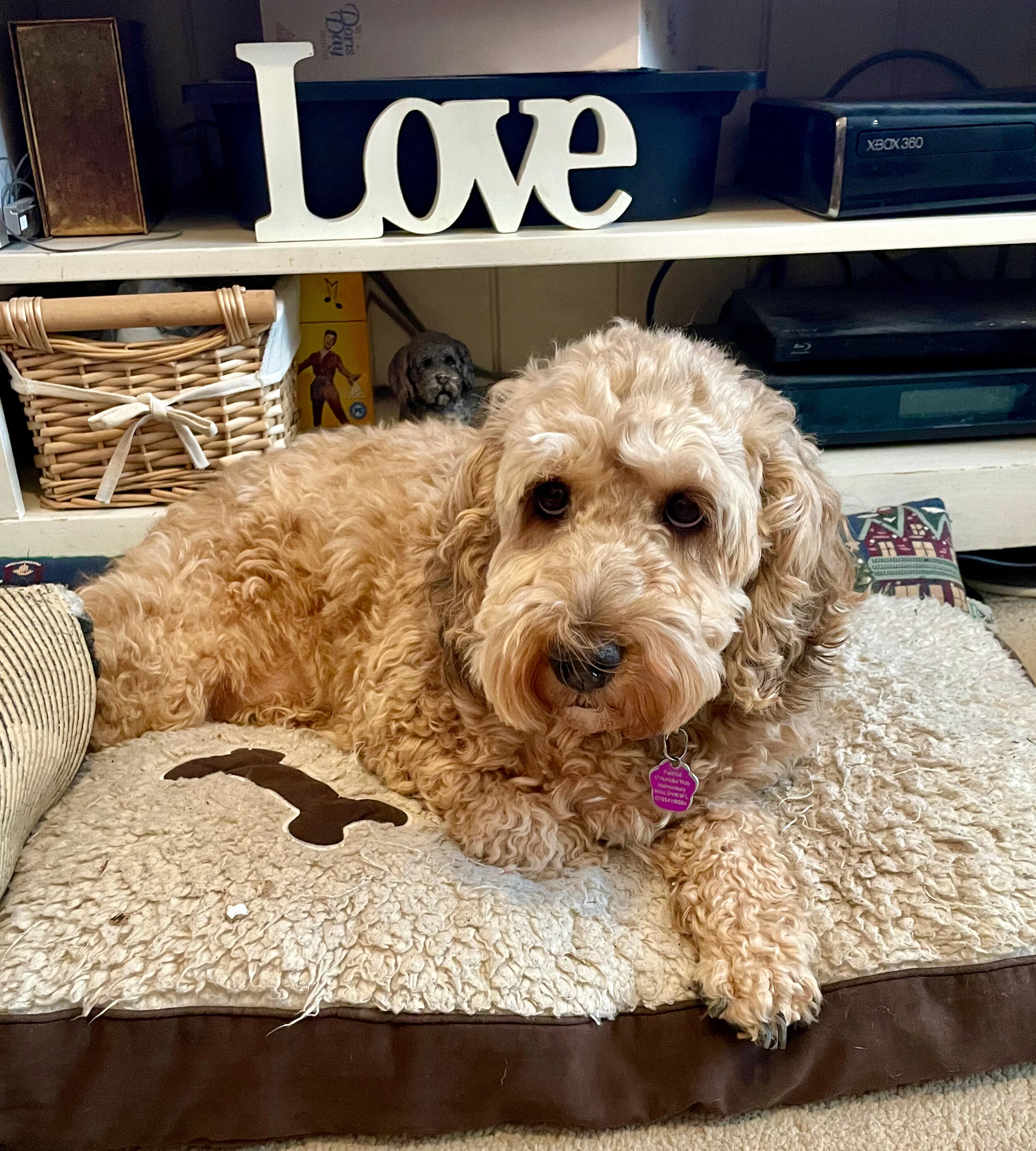 Training starts TODAY