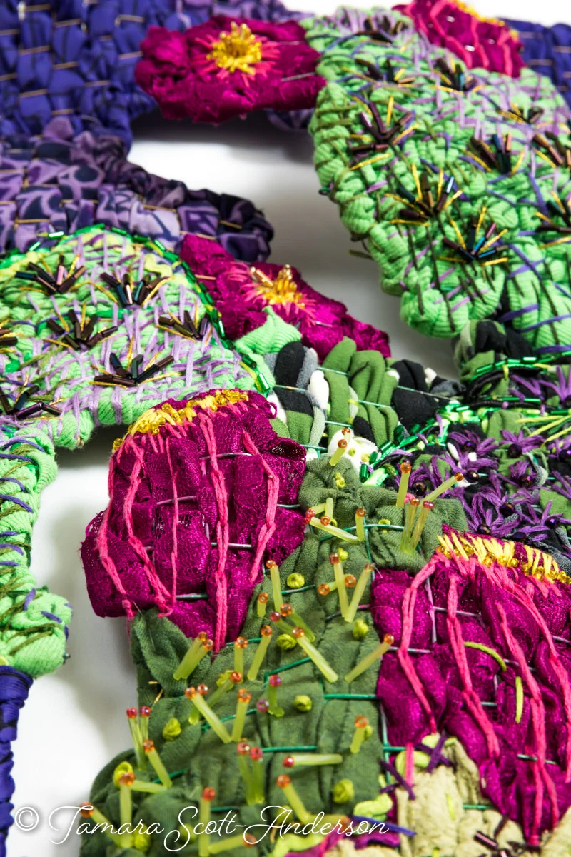 Prickly Pear Patch Detail 05 web.jpg