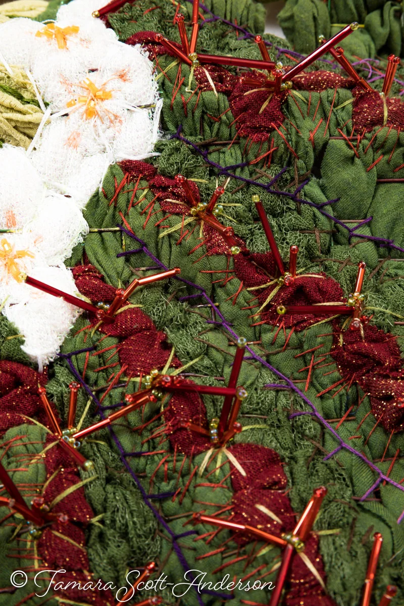 Red Spiney Barrel, Detail 02.jpg