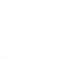 white bg.jpg
