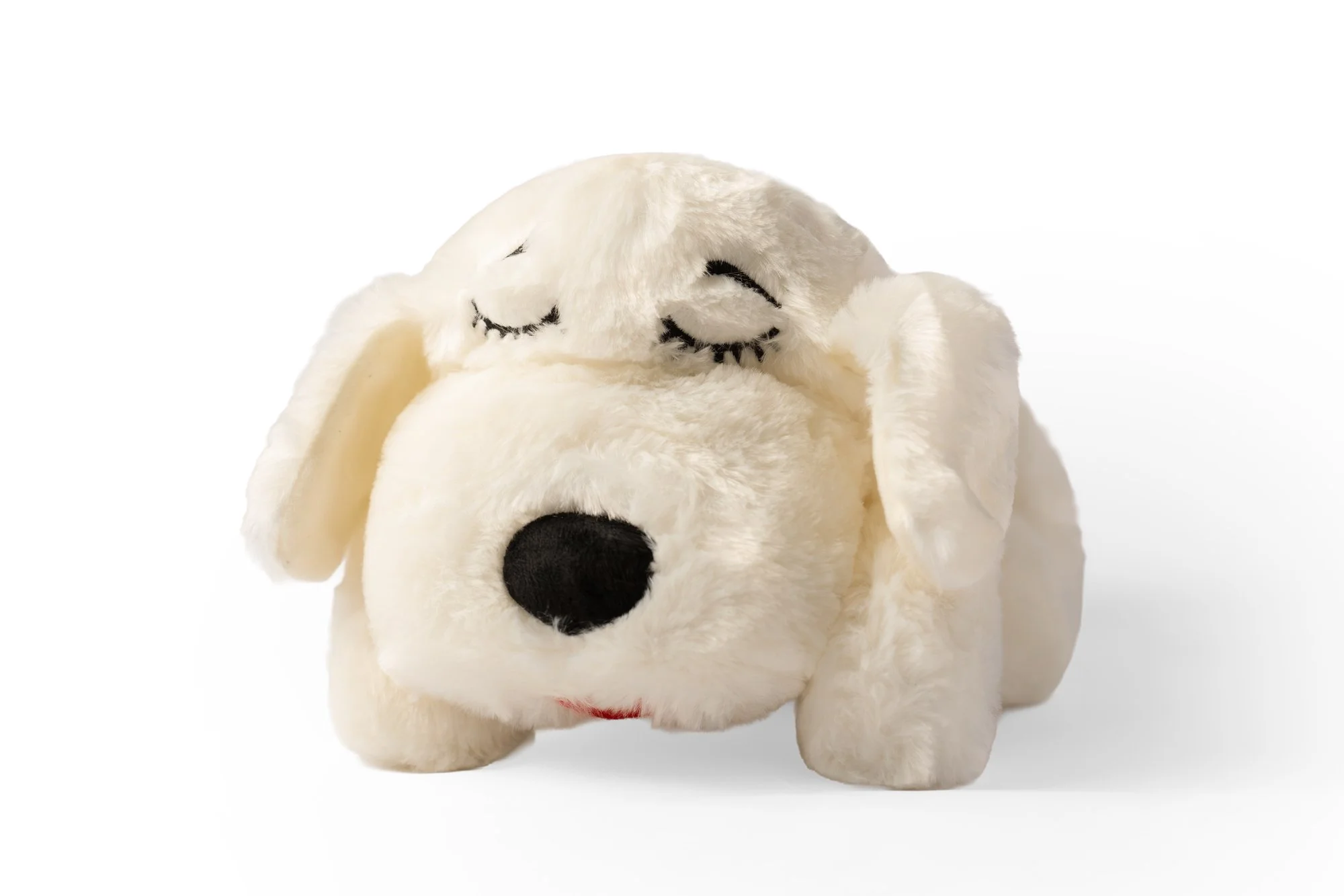 SnugglePuppy.Jul25.Studio.Samples.4.jpg