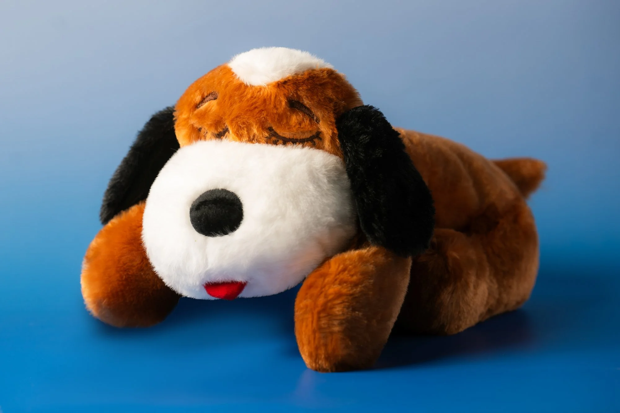 SnugglePuppy.Jul25.Studio.Samples.14.jpg