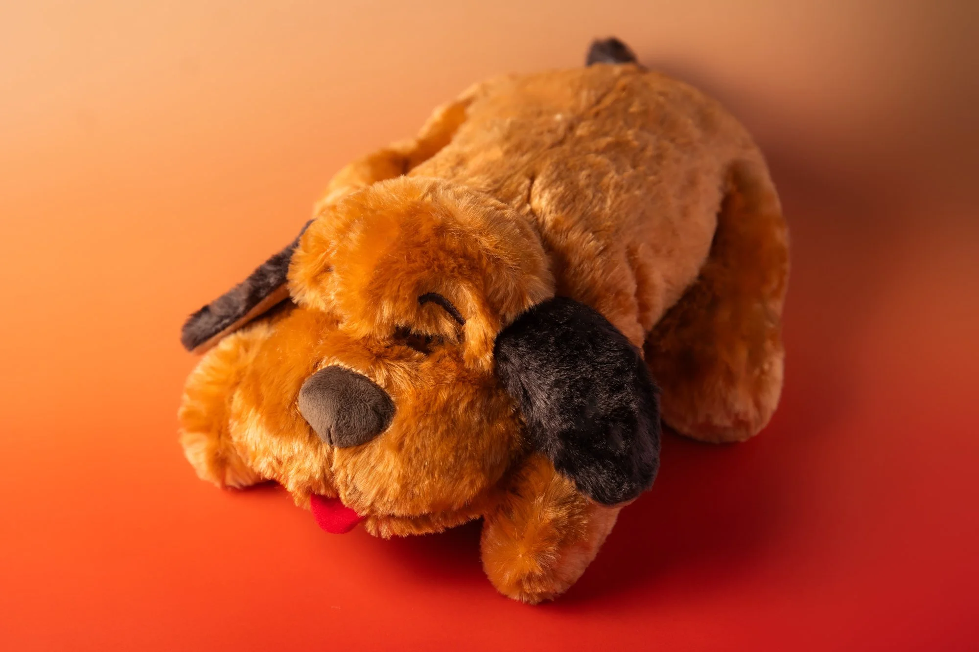 SnugglePuppy.Jul25.Studio.Samples.18.jpg