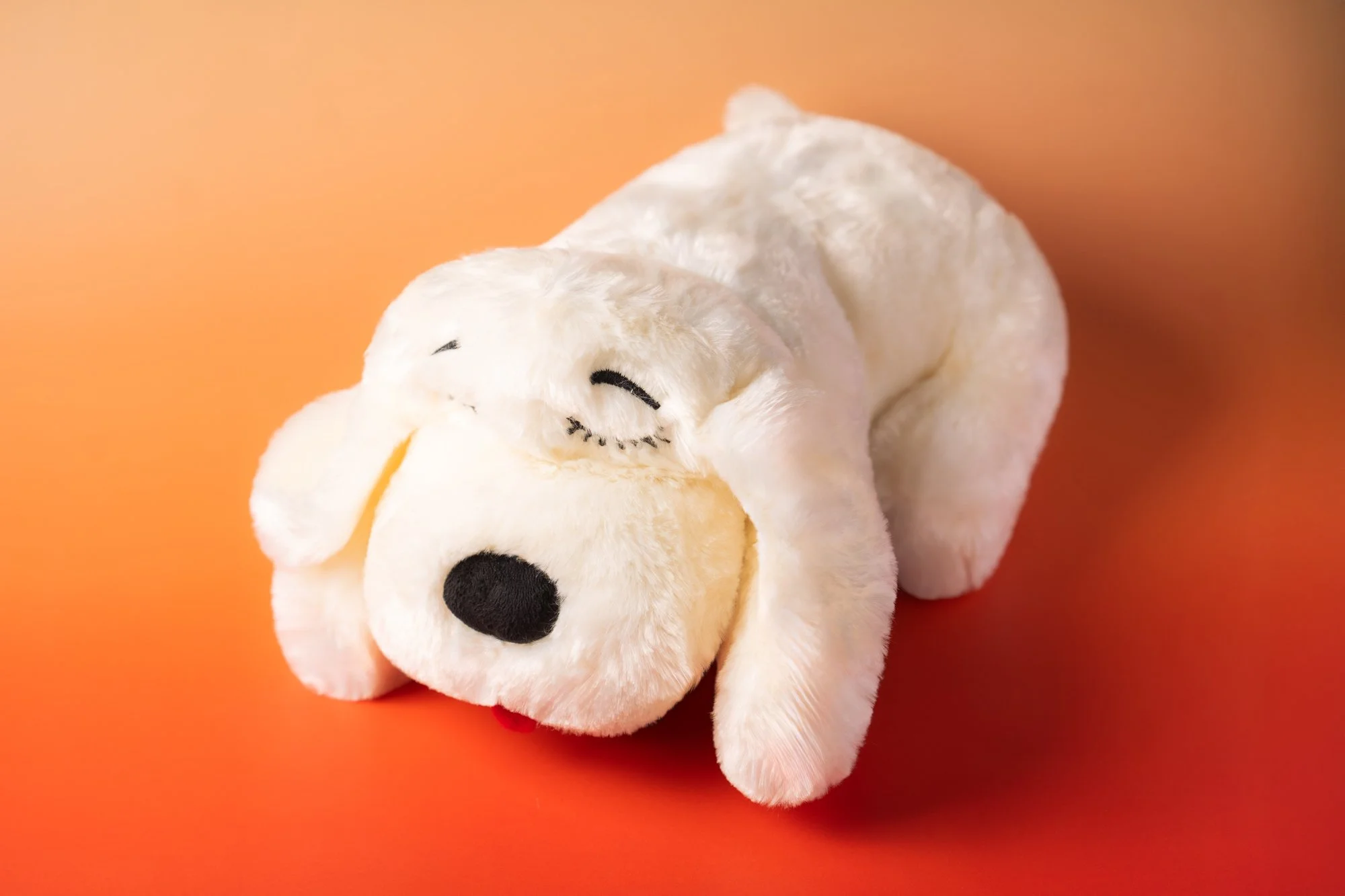 SnugglePuppy.Jul25.Studio.Samples.19.jpg