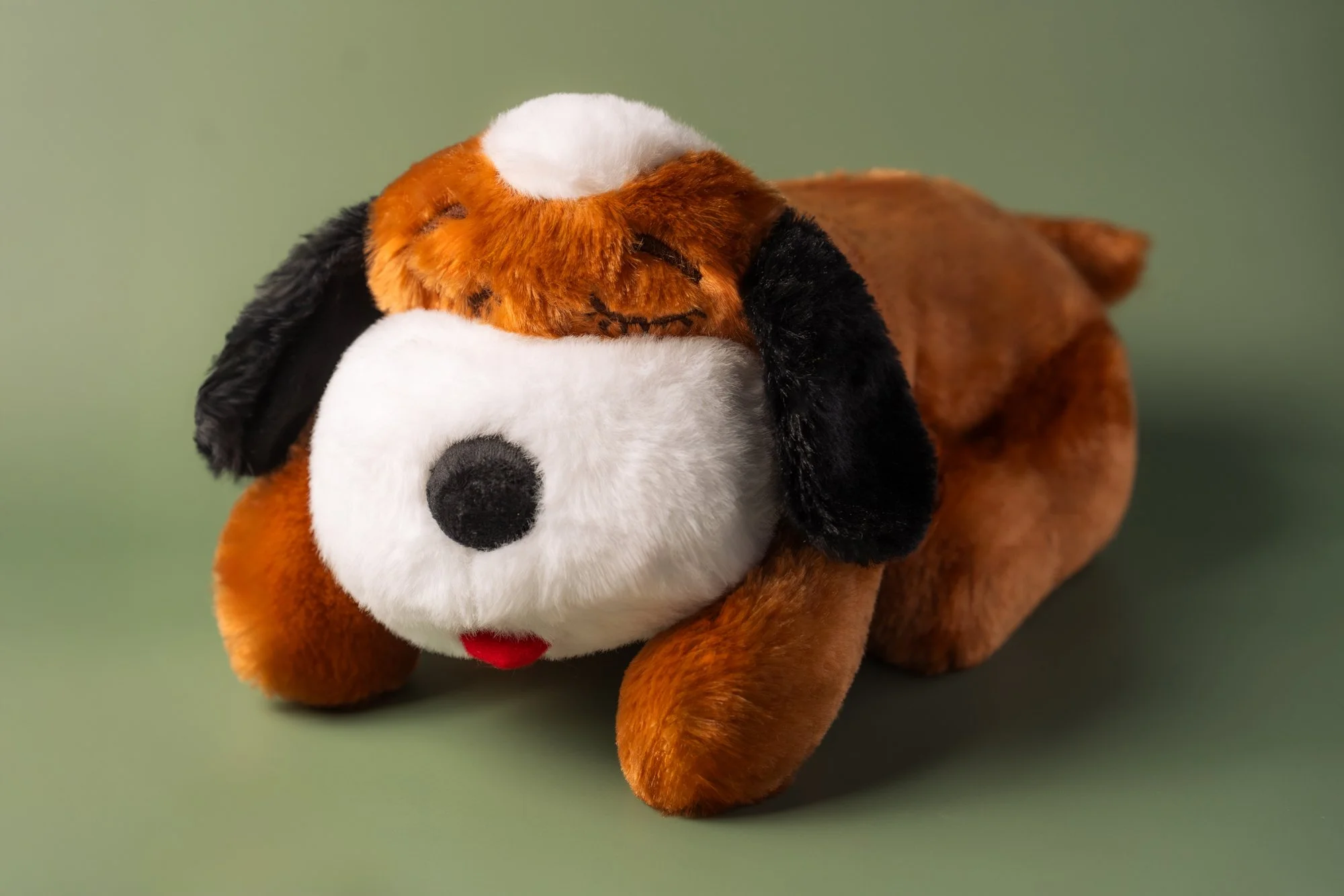 SnugglePuppy.Jul25.Studio.Samples.24.jpg