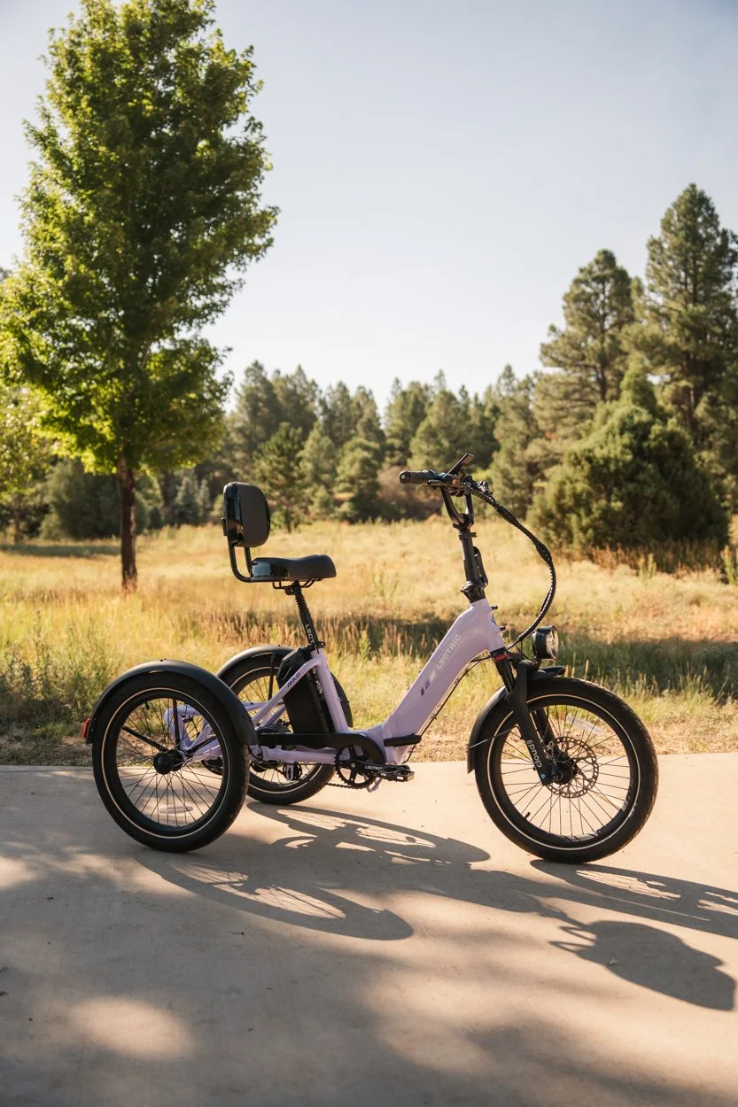 Lectric.Aug25.Trike2750Samples.69.jpg
