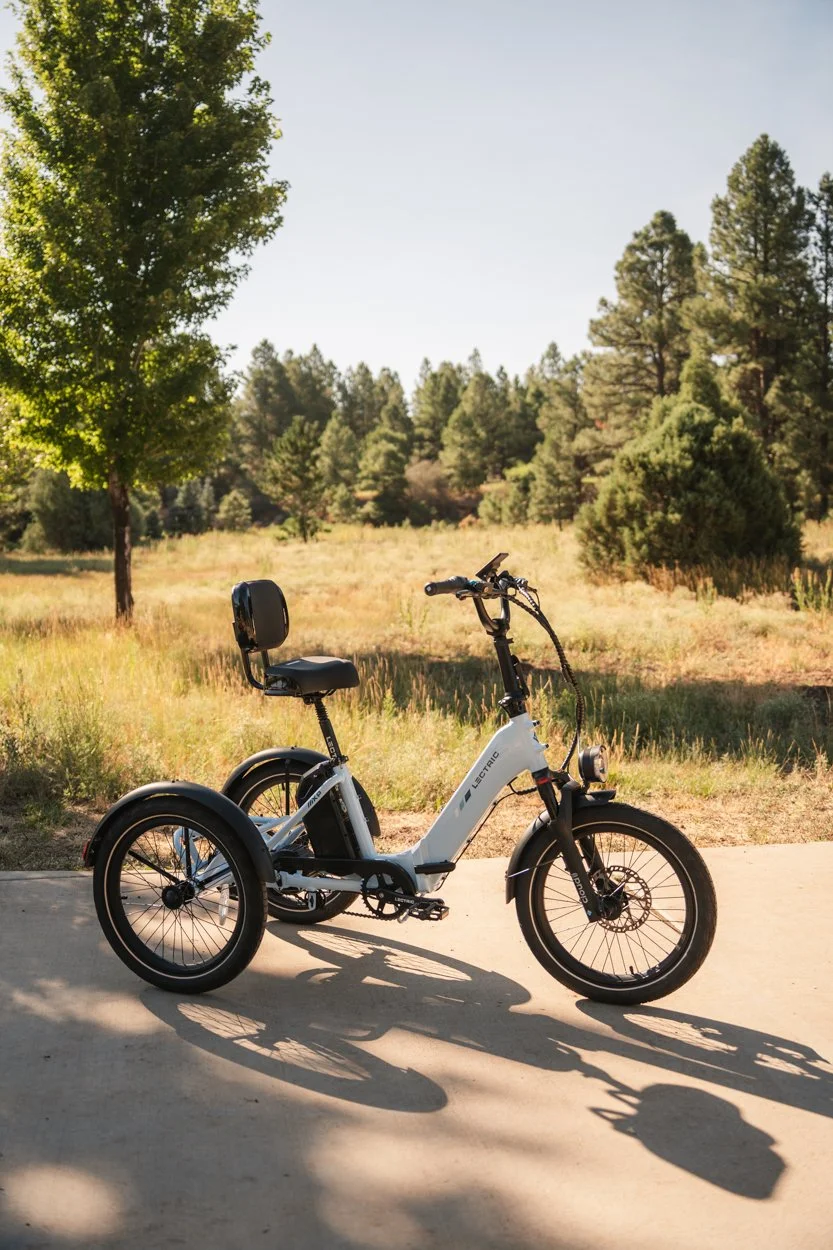 Lectric.Aug25.Trike2750Samples.71.jpg