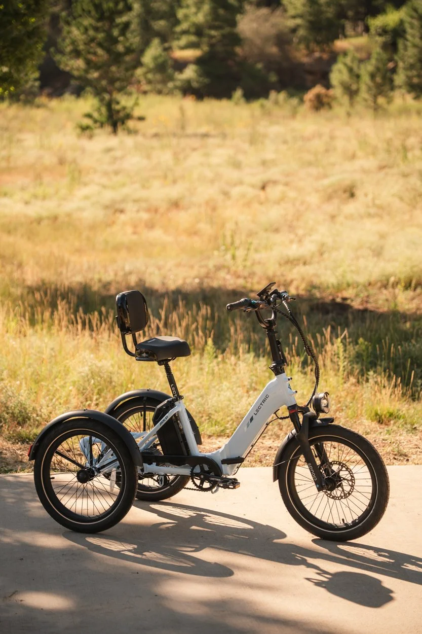 Lectric.Aug25.Trike2750Samples.72.jpg