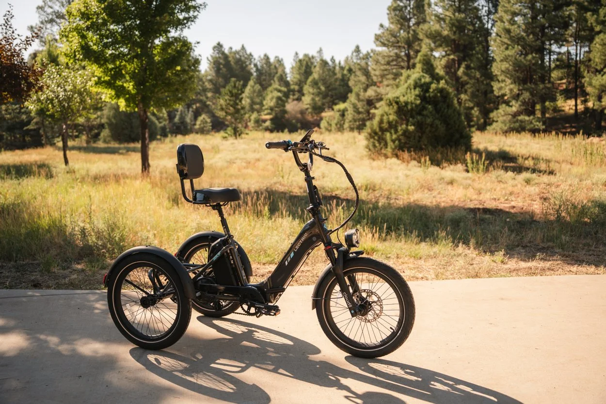 Lectric.Aug25.Trike2750Samples.73.jpg