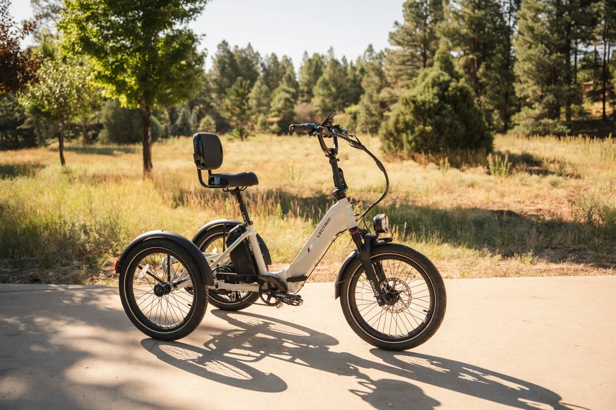 Lectric.Aug25.Trike2750Samples.76.jpg