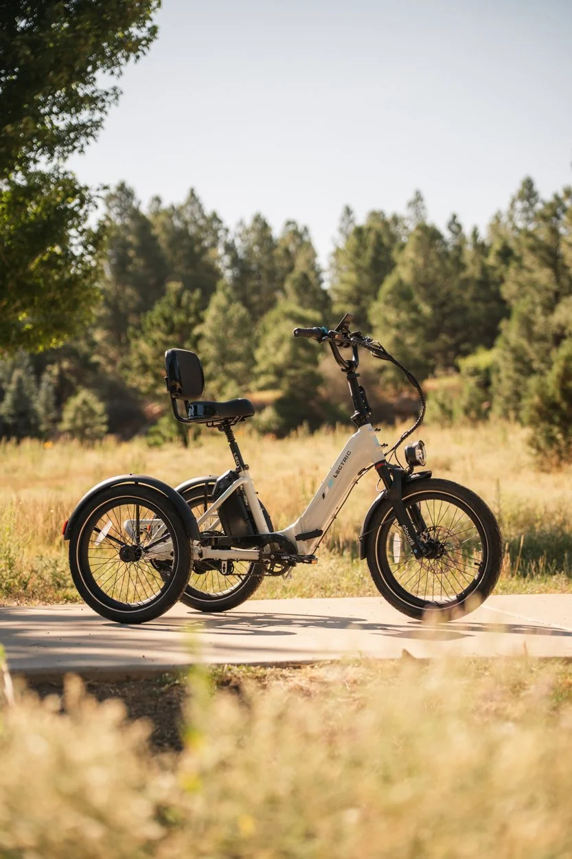 Lectric.Aug25.Trike2750Samples.78.jpg