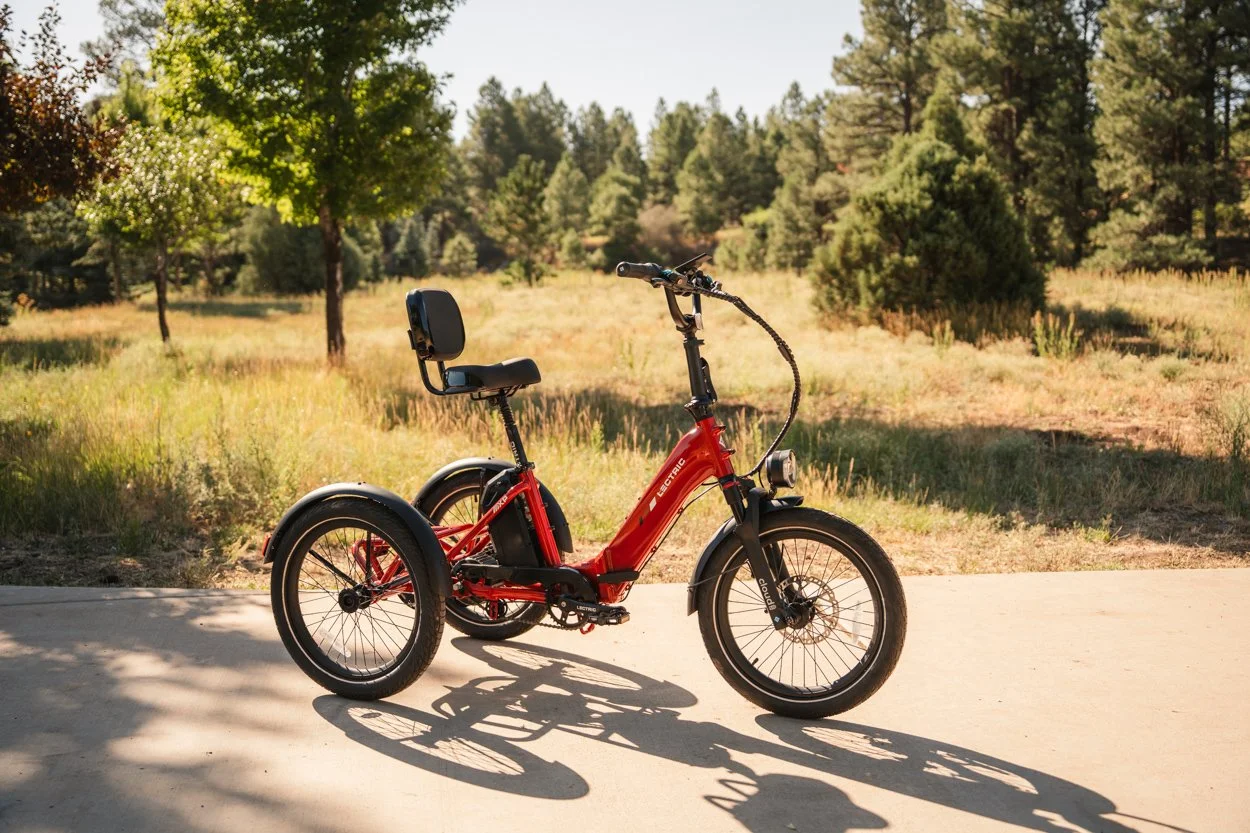 Lectric.Aug25.Trike2750Samples.80.jpg