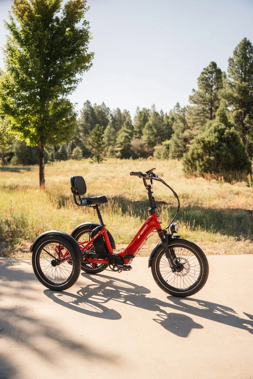 Lectric.Aug25.Trike2750Samples.81.jpg
