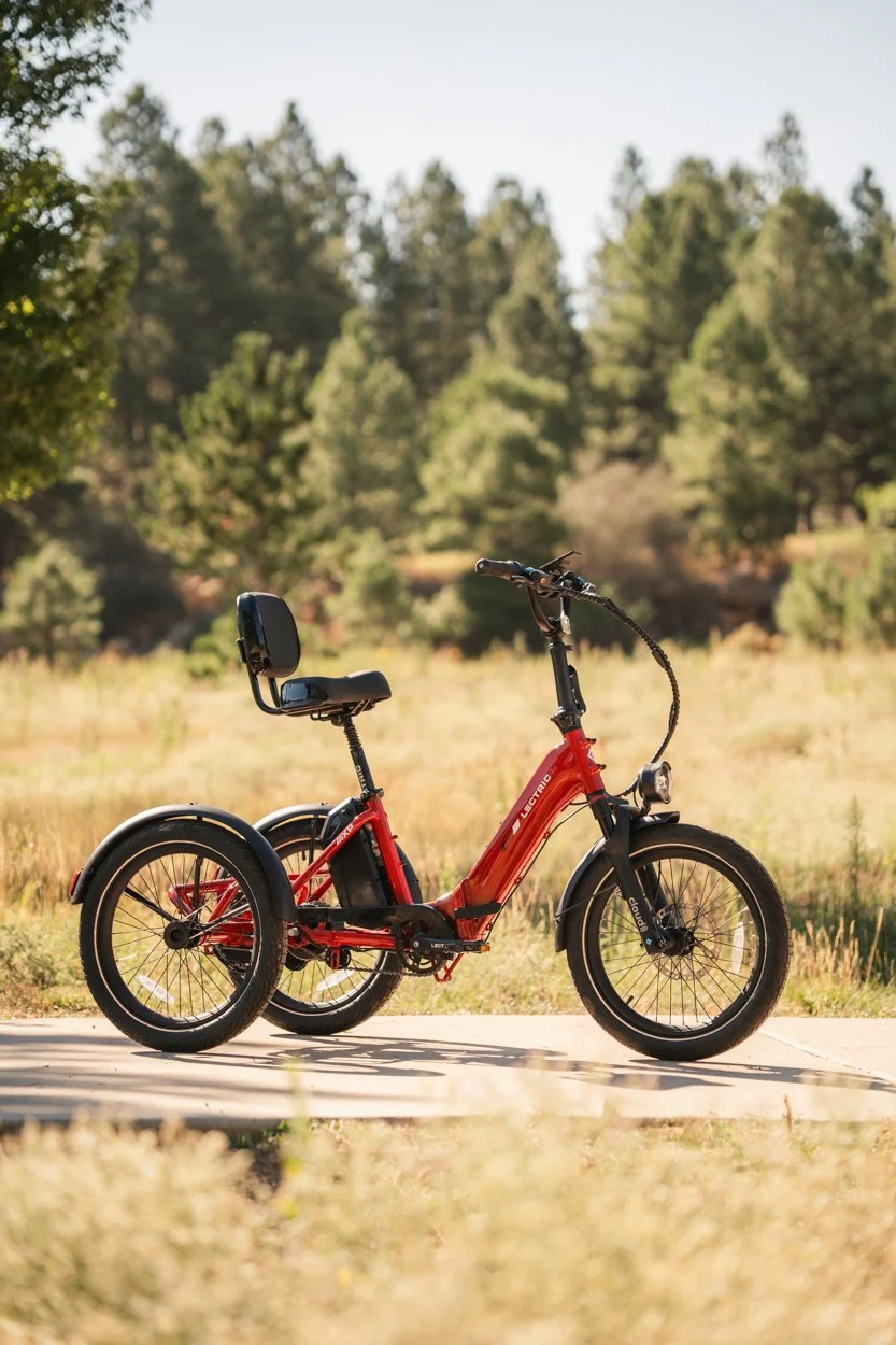 Lectric.Aug25.Trike2750Samples.82.jpg