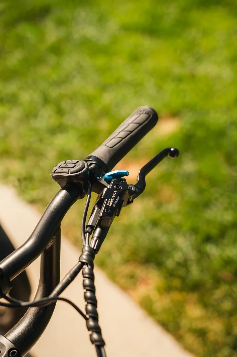 Lectric.Aug25.Trike2750Samples.101.jpg
