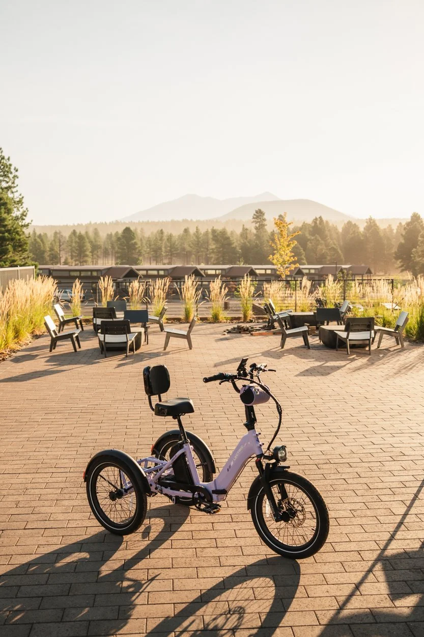 Lectric.Aug25.Trike2750Samples.127.jpg