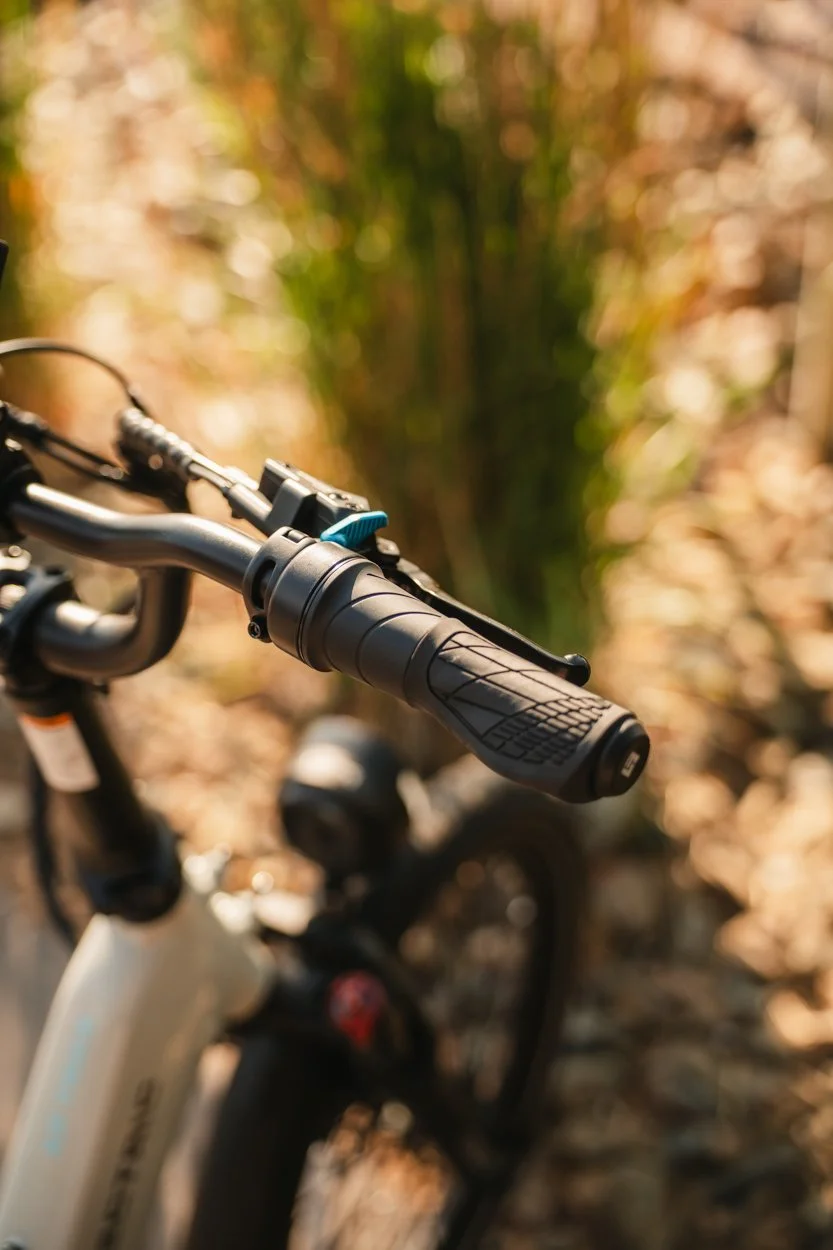 Lectric.Aug25.Trike2750Samples.169.jpg
