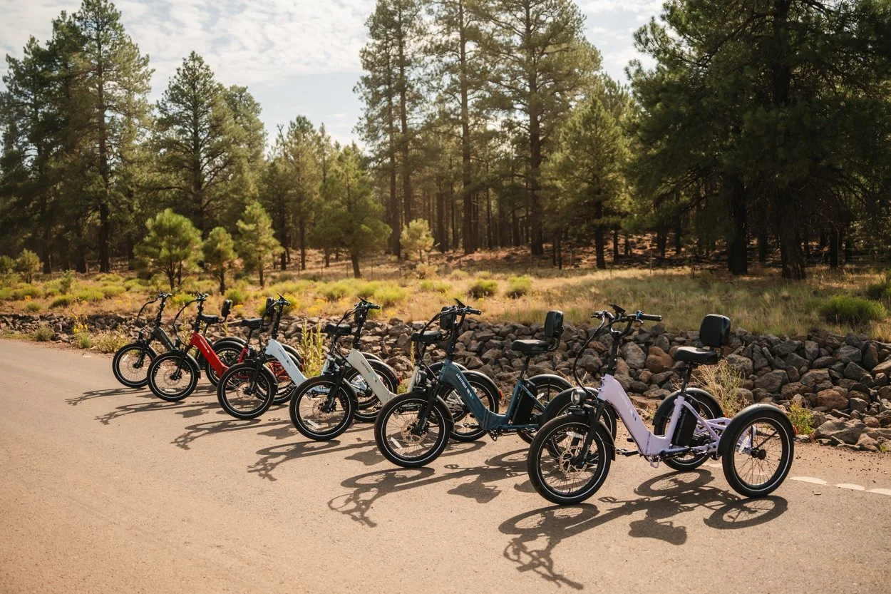 Lectric.Aug25.Trike2750Samples.204.jpg