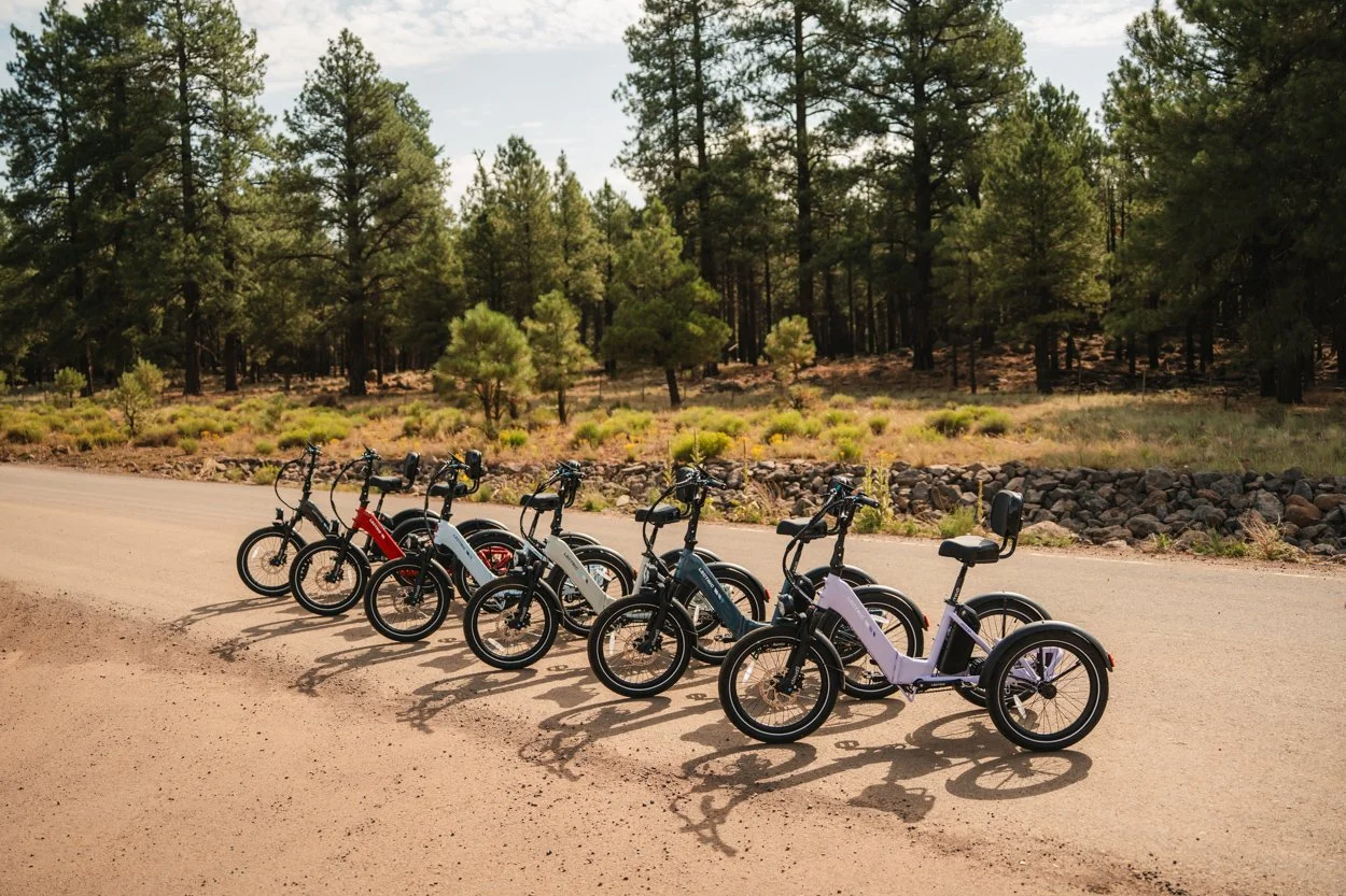 Lectric.Aug25.Trike2750Samples.205.jpg