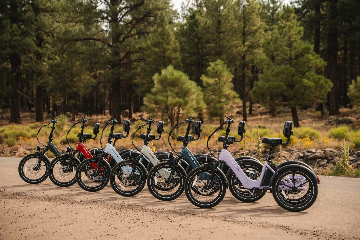 Lectric.Aug25.Trike2750Samples.206.jpg