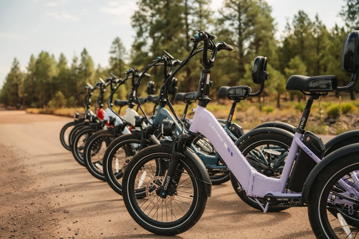 Lectric.Aug25.Trike2750Samples.208.jpg