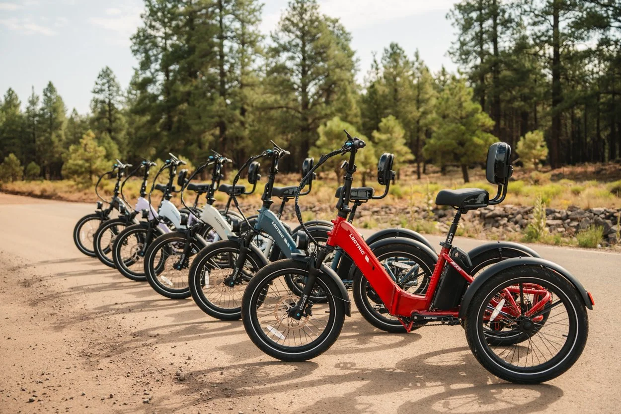 Lectric.Aug25.Trike2750Samples.210.jpg