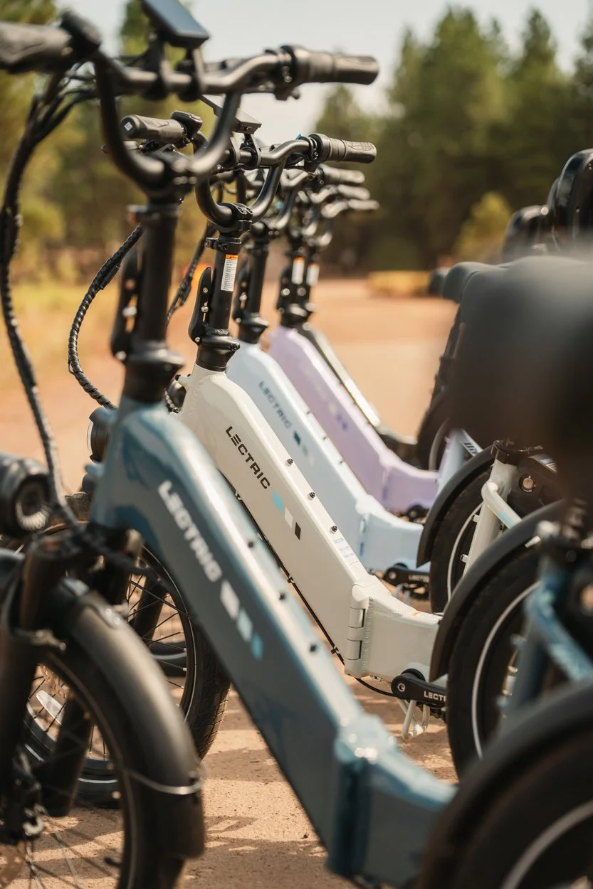 Lectric.Aug25.Trike2750Samples.211.jpg