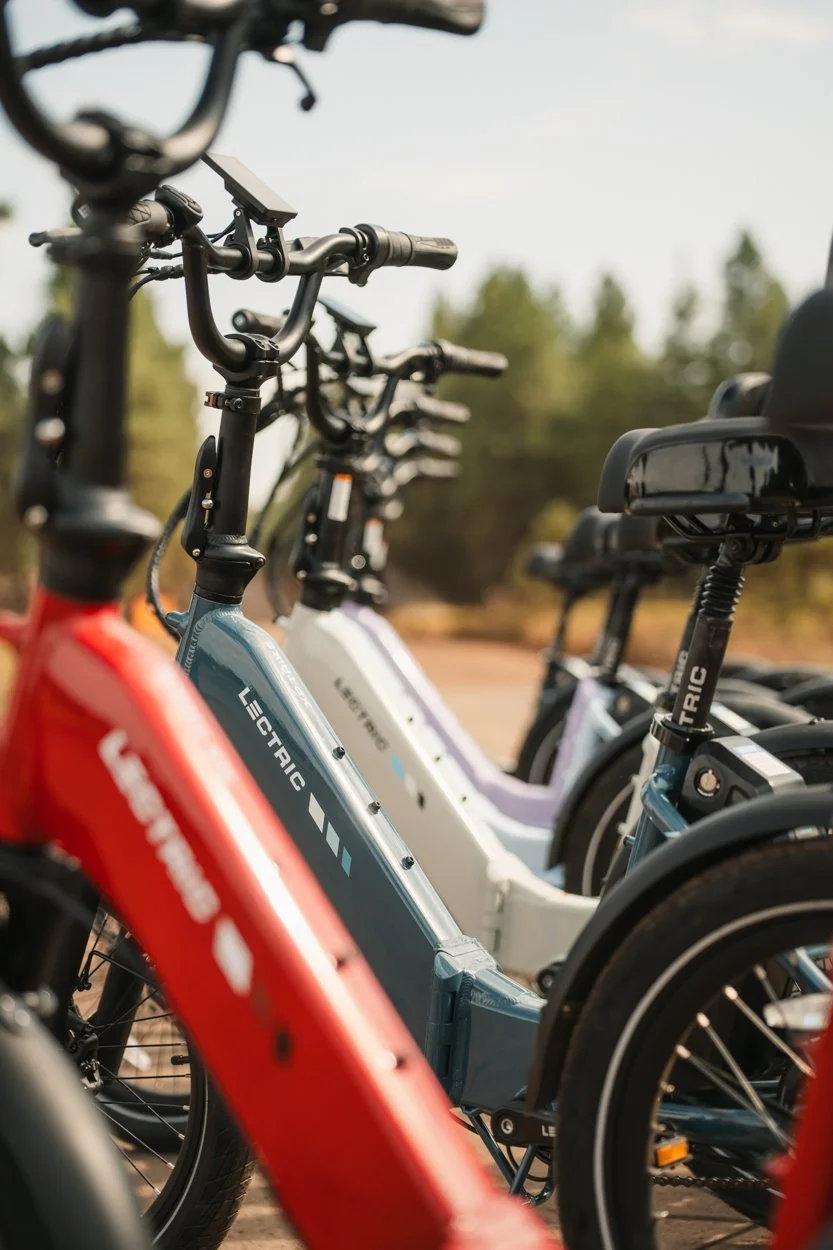 Lectric.Aug25.Trike2750Samples.212.jpg